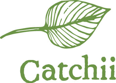Catchii - Catchii