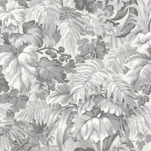 Cole & Son - Martyn Lawrence Bullard - Royal Fernery 113/3011