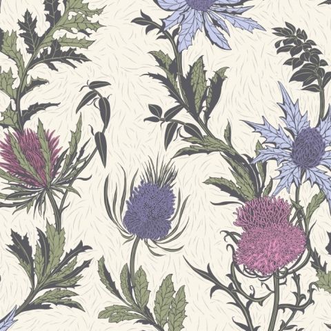 Cole & Son Botanical ~Botanica~ Thistle Carduus 115/14044