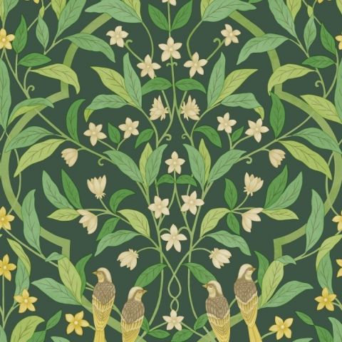 Cole & Son Seville - Jasmine & Serin Symphony 117/10029