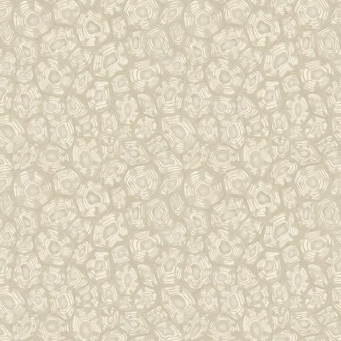 Cole & Son Ardmore Jabula - Savanna Shell 119/4021