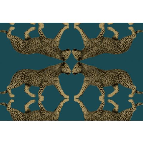 Hookedonwalls Leopard Walk Sabor 15331