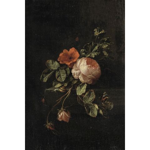 Esta Home Blush Still Life with Roses 158884