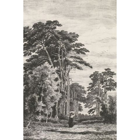 Esta Home Blush Pine Trees Engraving 158886