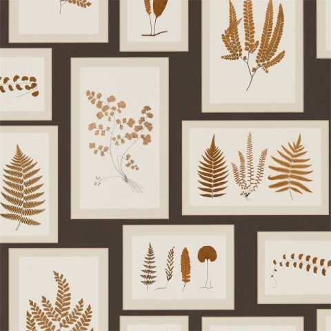 Sanderson Woodland Walk - Fern Gallery Charcoal Spice 215713