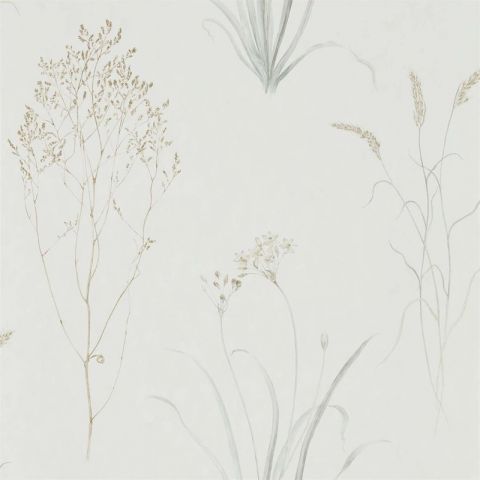 Sanderson Embleton Bay Farne Grasses Silver / Ivory 216487