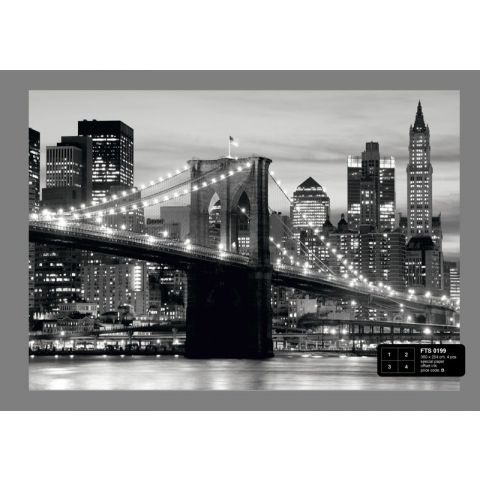 Bridge  Black / White FTS 0199