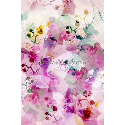 ColorChoc Spring Orchids Soft