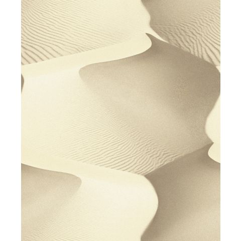 Dutch Wallcoverings FAUX SEMBLANT - L14007