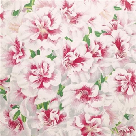 John Derian Picture Book Wallpapers - Variegated Azalea PJD6004/01