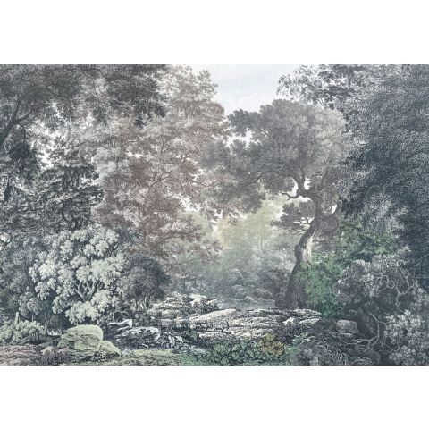 Komar RAW - Fairytale Forest R4-060